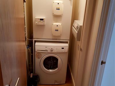 Picture 7